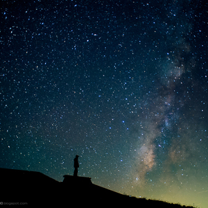 中文字幕网在线
